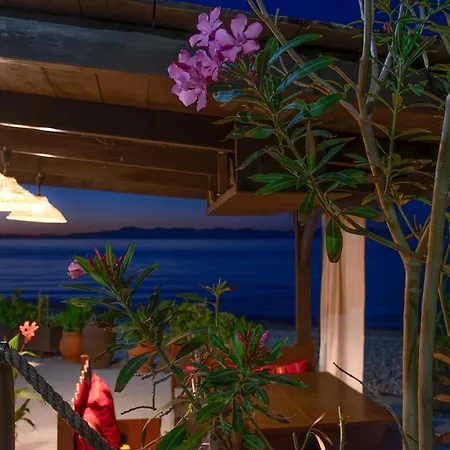 Windmill Renovated 2025 *