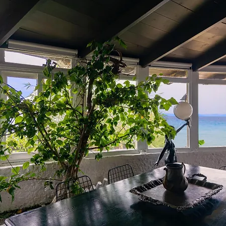 Windmill Renovated 2025 *