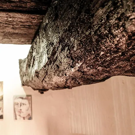 Windmill Renovated 2025 Ferienhaus *