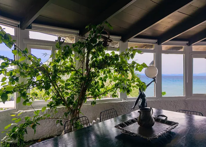 Windmill Renovated 2025 *