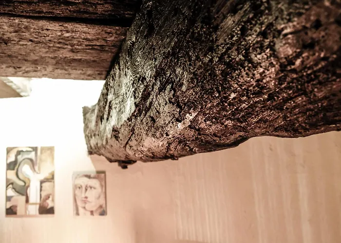 Windmill Renovated 2025 Hébergement de vacances *